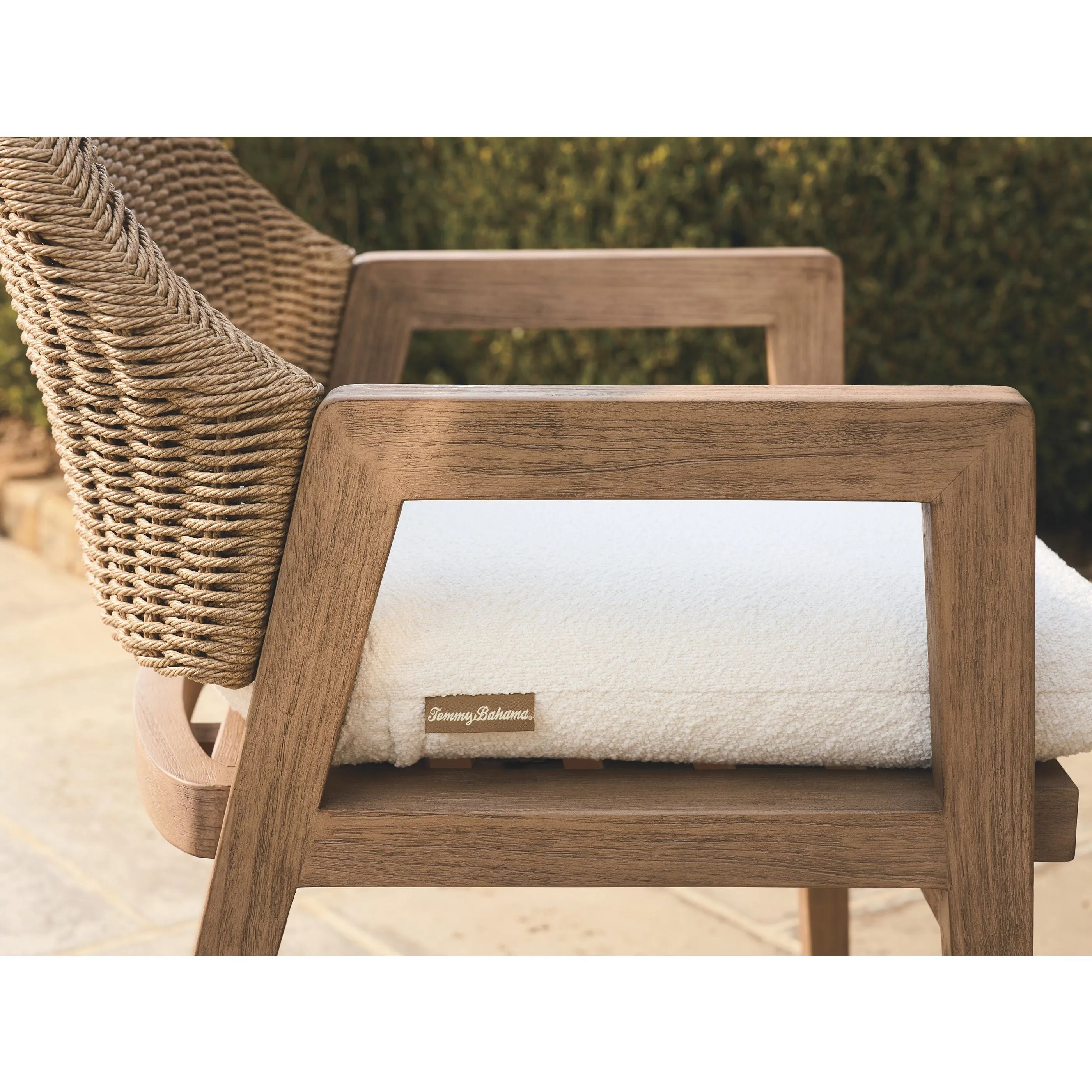 Arm Dining Chair