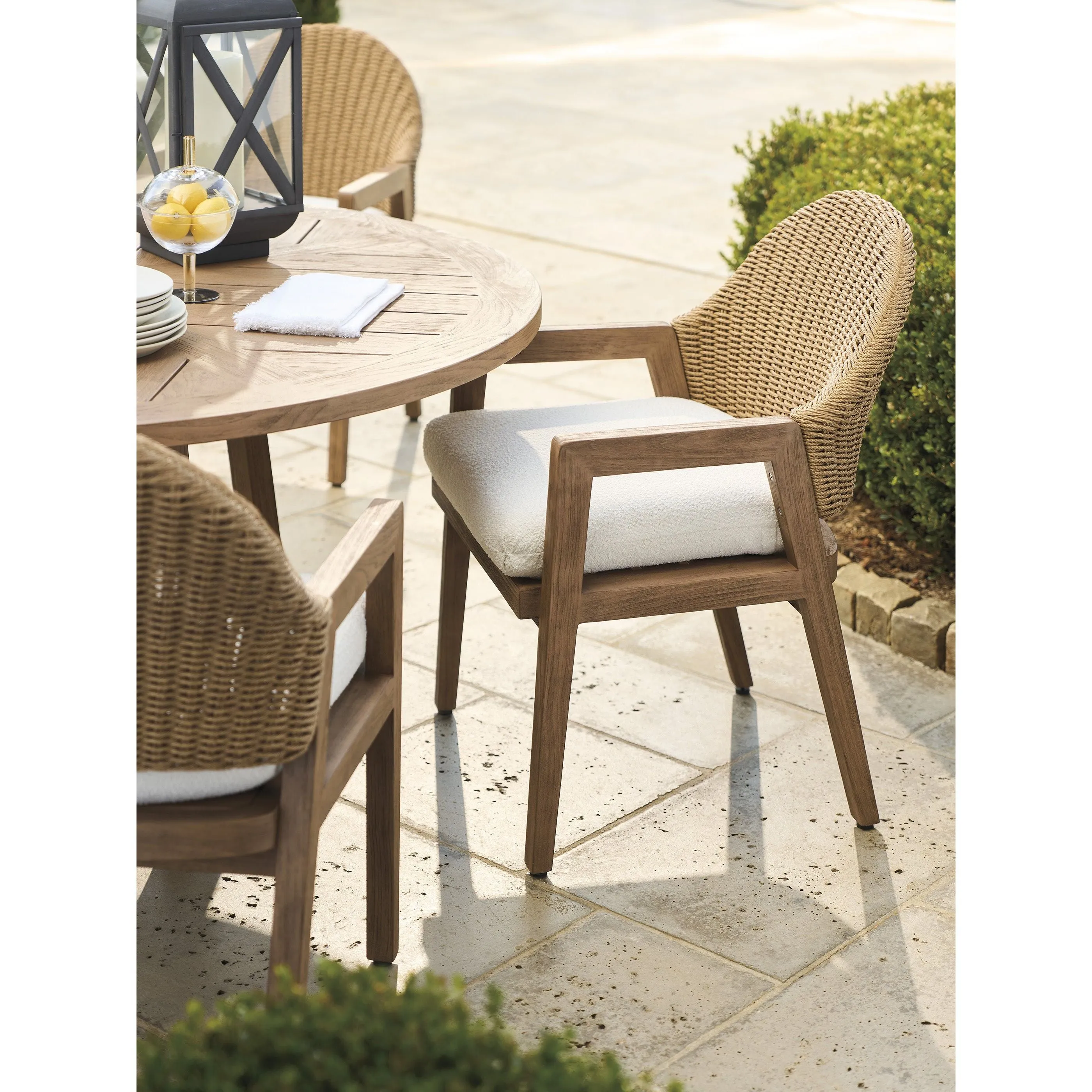 Arm Dining Chair