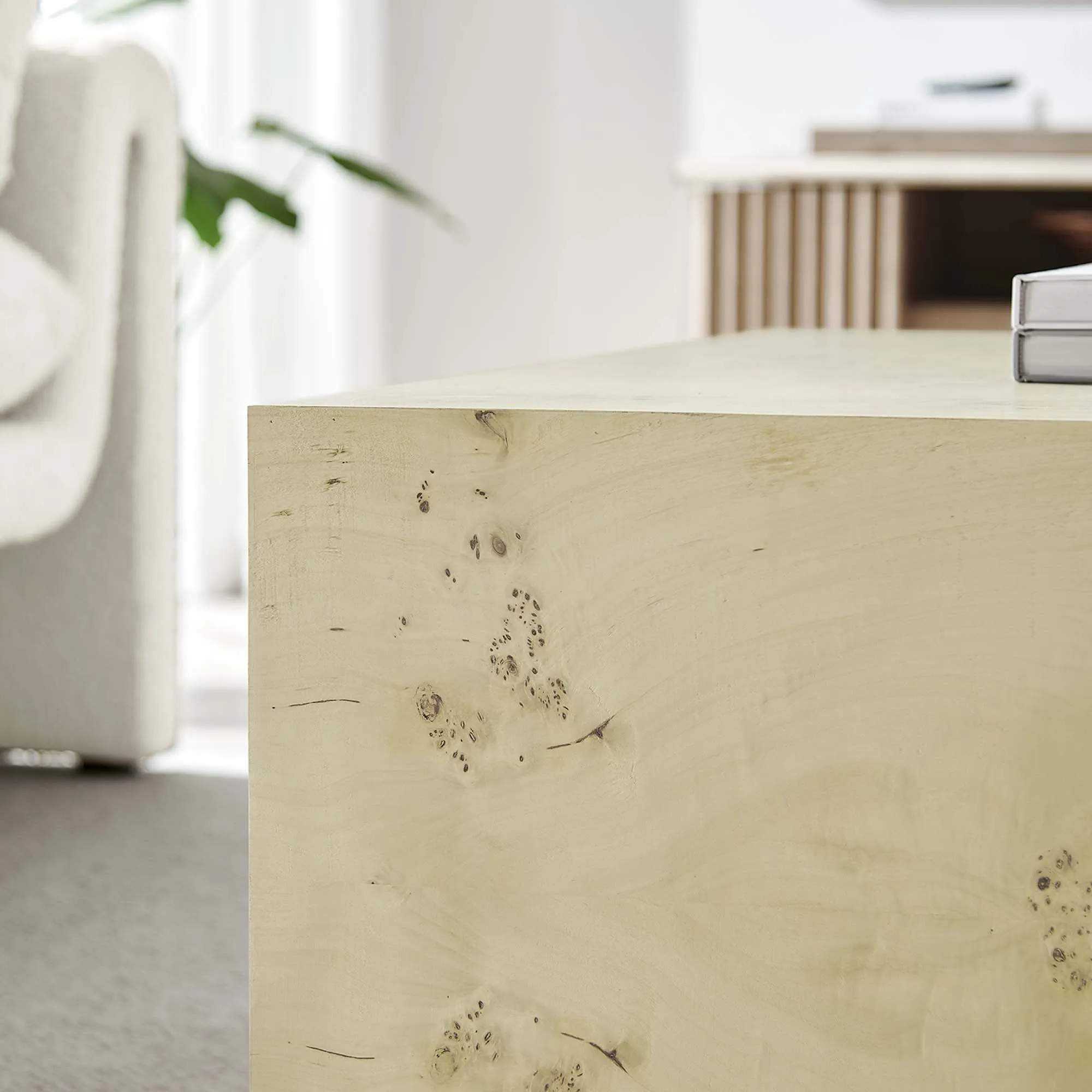 Cosmos 36" Square Burl Wood Coffee Table by Modway
