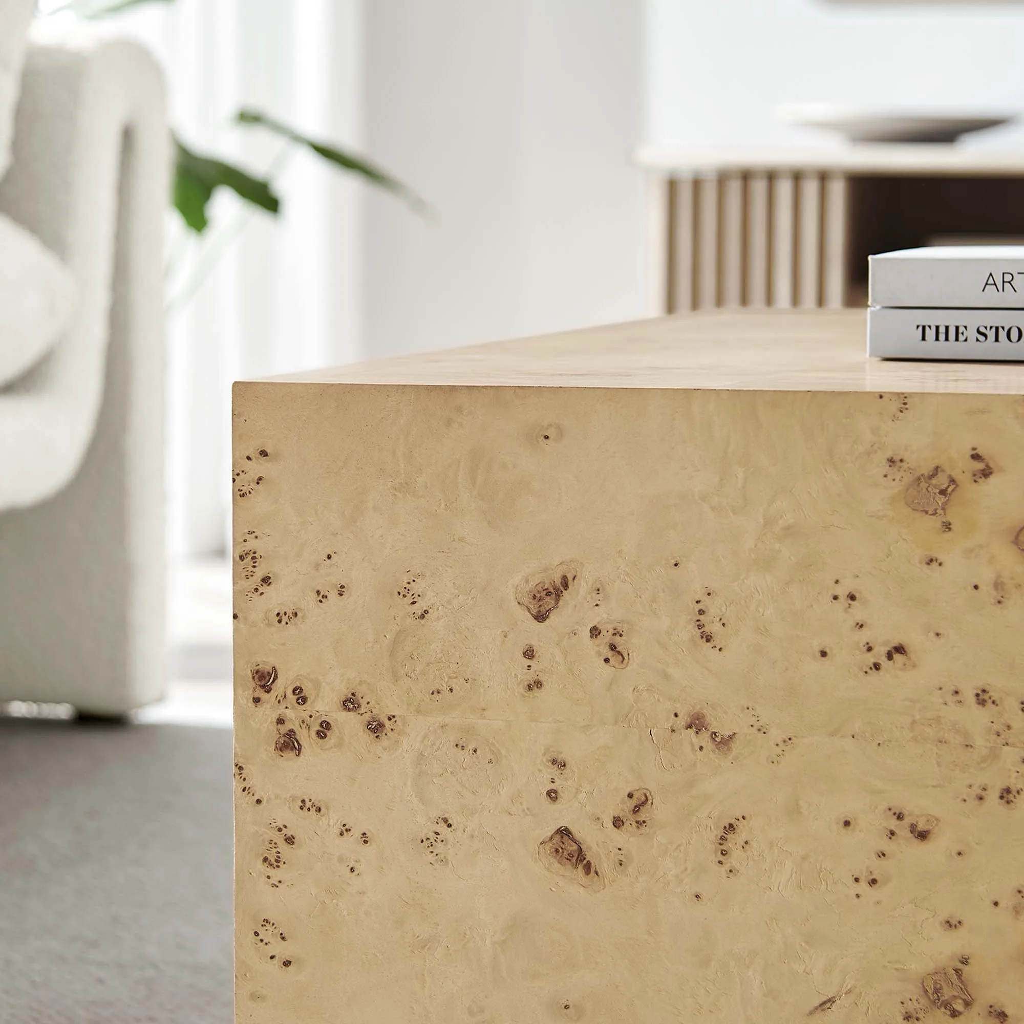 Cosmos 36" Square Burl Wood Coffee Table by Modway