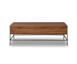 Leende Lift Top Storage Coffee Table